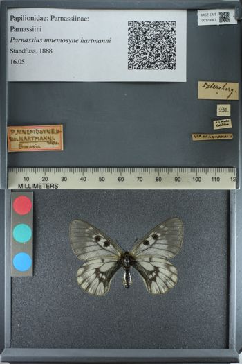 Media type: image;   Entomology 179987